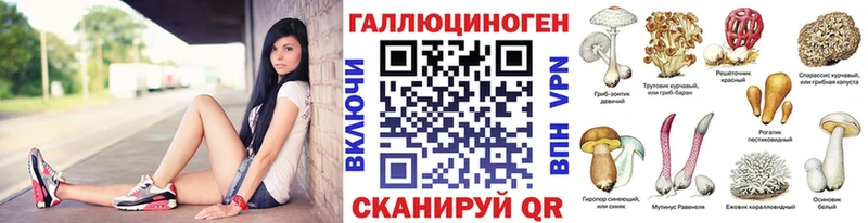 Псилоцибиновые грибы Psilocybine cubensis  Томари 